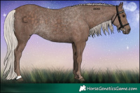 Horse Color:Silver Black 