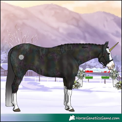 Horse Color:Midnight Smoky Grullo Ice Splash 