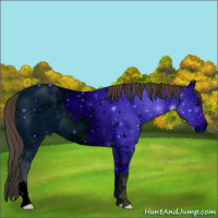 Horse Color:Bay Ice Dun