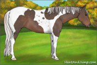 Horse Color:Silver Black Tobiano 