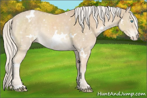 Horse Color:White Spotted Cremello Sabino