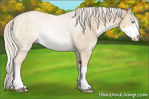 Horse Color:Cremello Sabino