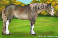 Horse Color:White Spotted Chocolate Palomino Sabino 