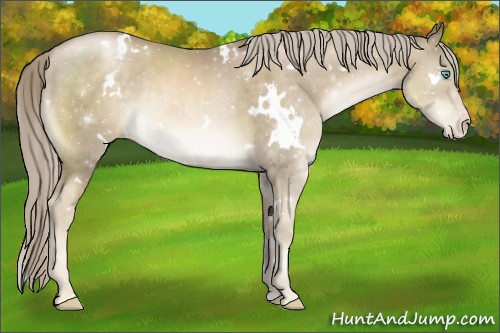 Horse Color:White Spotted Chocolate Palomino Pearl 