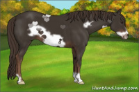 Horse Color:Liver Chestnut Frame 