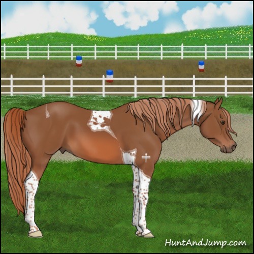 Horse Color:Chestnut Tobiano 