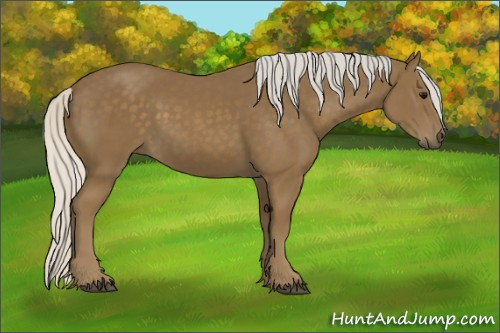 Horse Color:Silver Smoky Black 