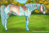 Horse Color:Thunderstruck Silver Bay Onyx 