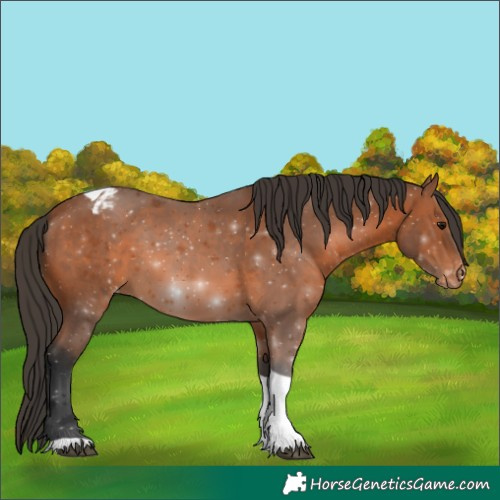 Horse Color:Bay Tobiano Varnish 