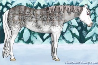 Horse Color:Plaid  White Spotted Chocolate Silver Brown Chinchilla Ice Splash 