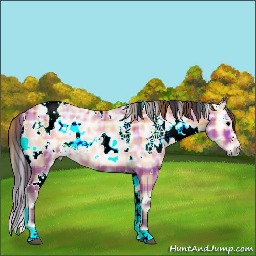 Horse Color:Plaid White Spotted Bay Ice Onyx