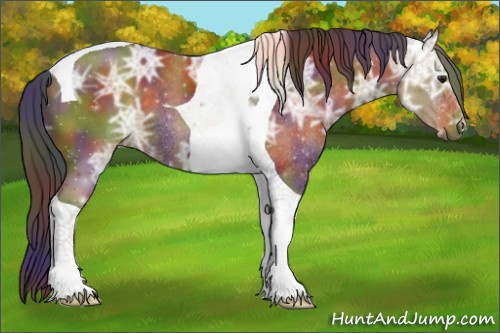Horse Color:Nacre Buckskin Ice Tobiano 
