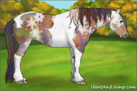 Horse Color:Nacre Buckskin Ice Tobiano 