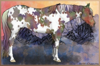 Horse Color:Nacre White Spotted Liver Chestnut Ice 