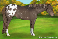 Horse Color:Liver Chestnut Snowflake Varnish 