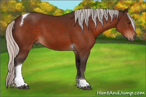 Horse Color:Silver Brown Tobiano 
