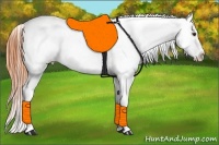 Horse Color:Bay Roan Dun Varnish