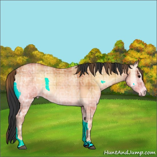 Horse Color:Plaid Bay Ice Onyx Rabicano
