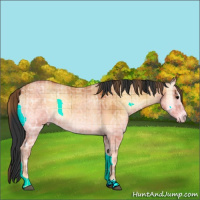 Horse Color:Plaid Bay Ice Onyx Rabicano