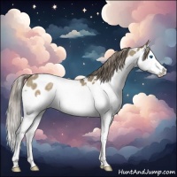 Horse Color:Chocolate Palomino Roan Dun Splash Near Leopard 
