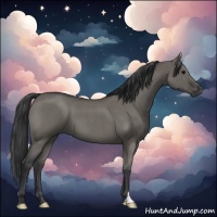 Horse Color:Grullo Roan 