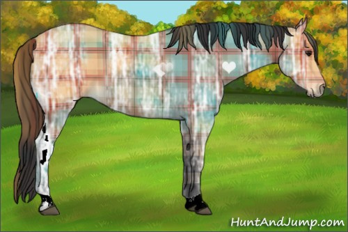 Horse Color:Plaid  Bay Ice 