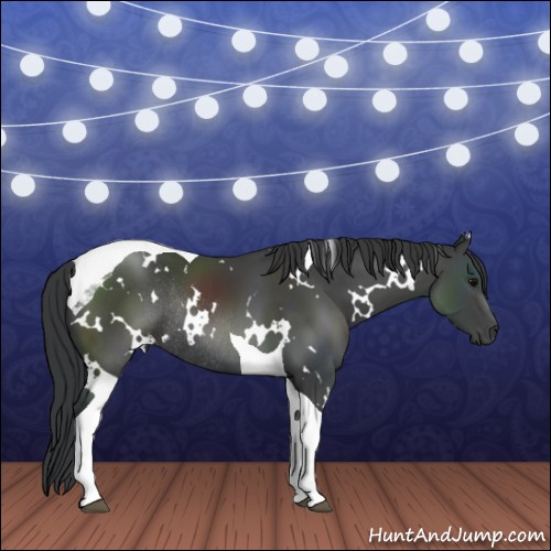 Horse Color:White Spotted Black Tobiano Rabicano 