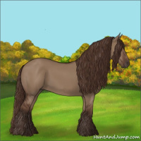 Horse Color:Liver Red Dun 
