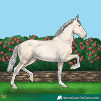 Horse Color:Silver Amber Cream Champagne Pearl