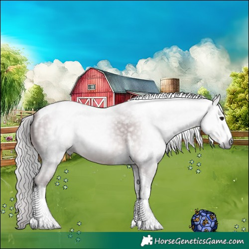 Horse Color:Gray Platinum Chocolate Silver Bay Sabino Tobiano