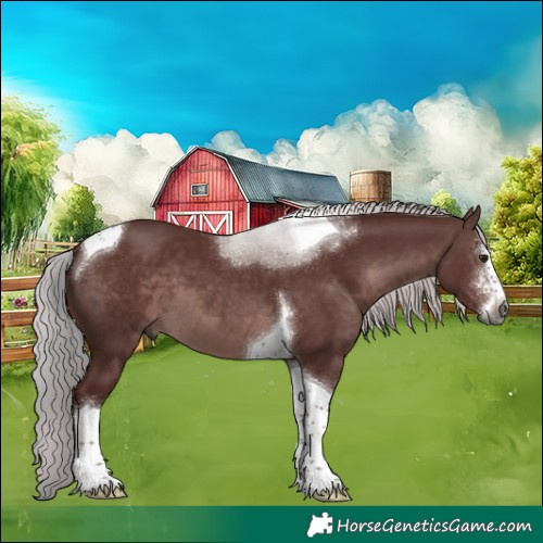 Horse Color:Gray Platinum Chocolate Silver Bay Sabino Tobiano 