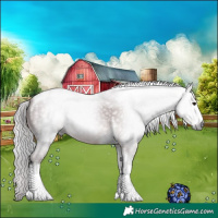 Horse Color:Gray Platinum Chocolate Silver Bay Sabino Tobiano