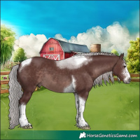 Horse Color:Gray Platinum Chocolate Silver Bay Sabino Tobiano 
