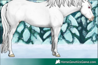 Horse Color:Plaid  Sable Champagne Chinchilla Roan Appaloosa 