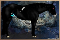 Horse Color:Liver Chestnut Chinchilla Splash Tobiano Blanket 