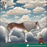 Horse Color:White Spotted Silver Brown Sabino Rabicano 