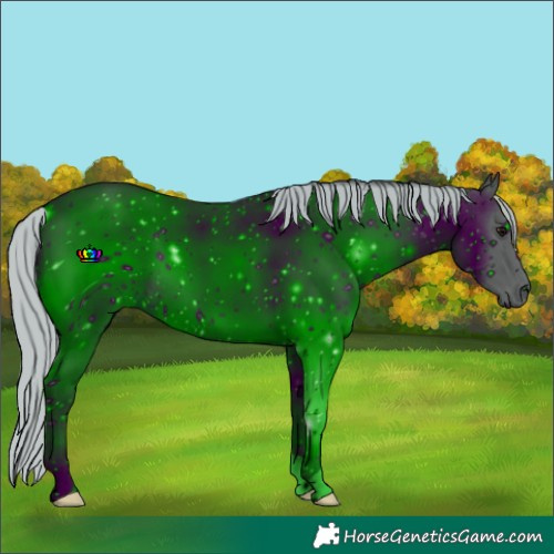 Horse Color:ERROR: UNKNOWN ANOMALY
