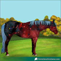 Horse Color:ERROR: UNKNOWN ANOMALY