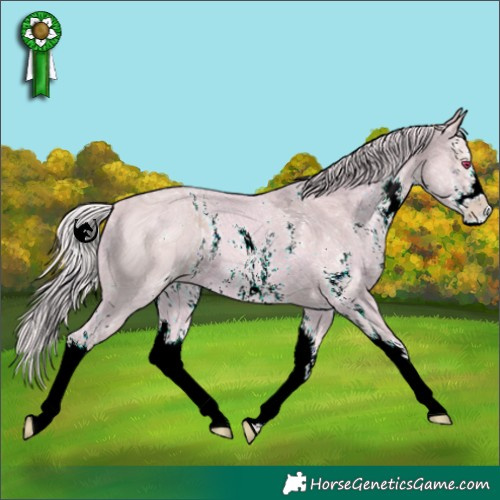 Horse Color:ERROR: UNKNOWN ANOMALY