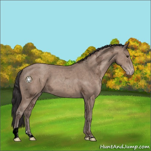 Horse Color:Classic Champagne Ice 