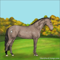 Horse Color:Classic Champagne Ice 