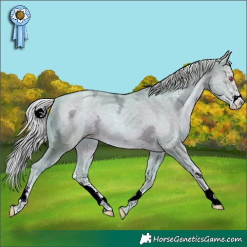 Horse Color:Watercolor Silver Black Chinchilla Ice Pearl Sabino 