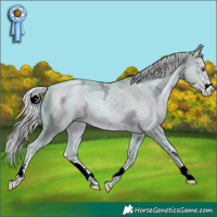 Horse Color:Watercolor Silver Black Chinchilla Ice Pearl Sabino 