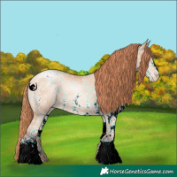 Horse Color:White Spotted Classic Champagne Pearl 