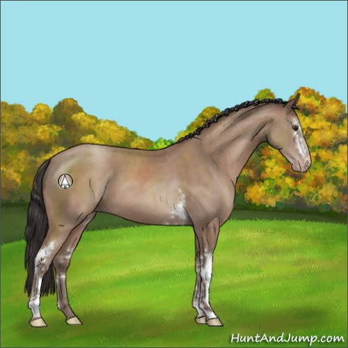 Horse Color:White Spotted Classic Champagne 