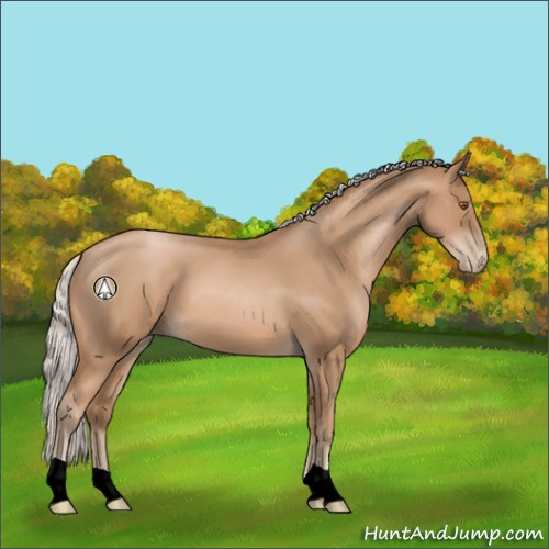 Horse Color:Silver Black Pearl