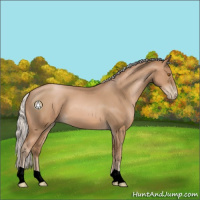 Horse Color:Silver Black Pearl 