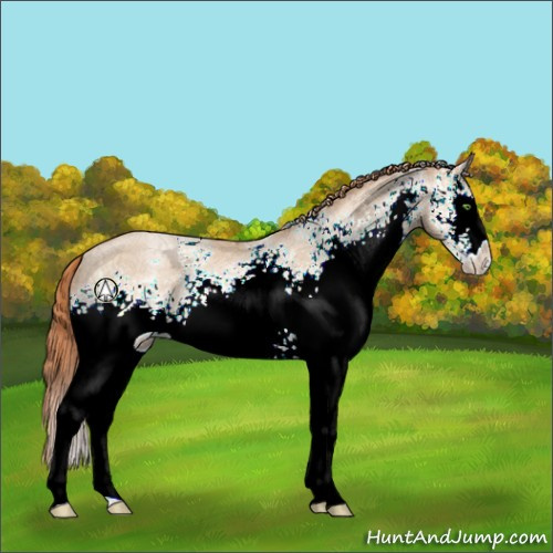 Horse Color:White Spotted Classic Champagne Ice Pearl