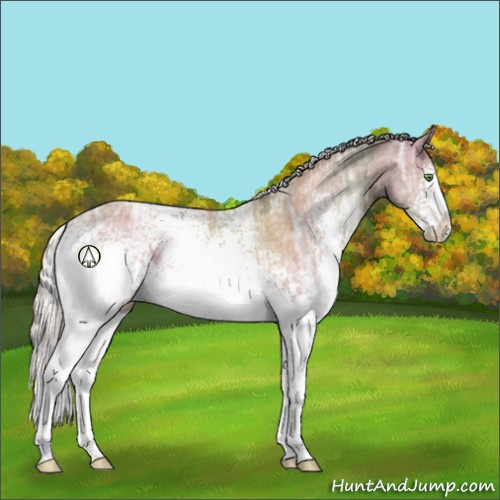 Horse Color:White Spotted Silver Classic Champagne Ice 