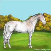 Horse Color:White Spotted Silver Classic Champagne Ice 